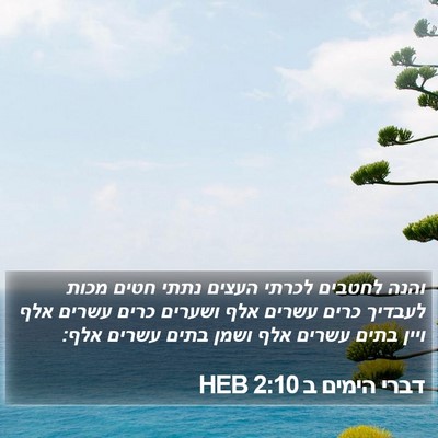 דברי הימים ב 2:10 HEB Bible Verse Image