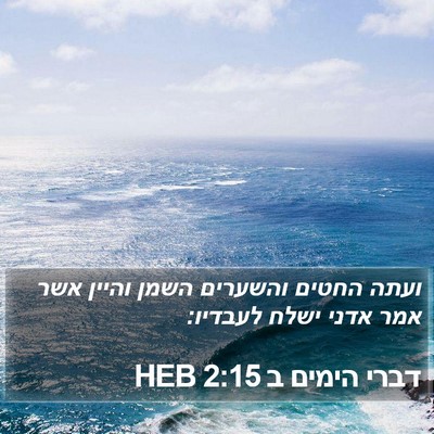 דברי הימים ב 2:15 HEB Bible Verse Image