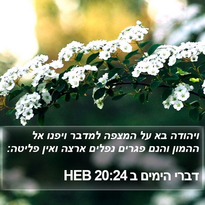 דברי הימים ב 20:24 HEB Bible Verse Image