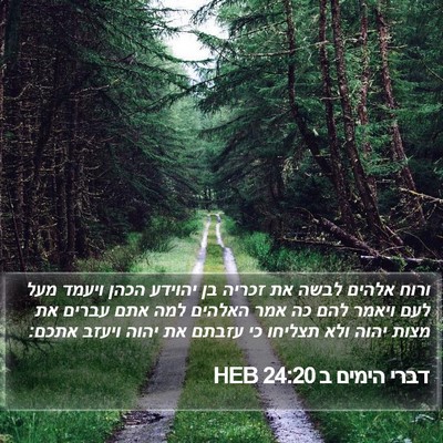 דברי הימים ב 24:20 HEB Bible Verse Image