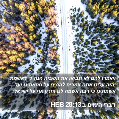 דברי הימים ב 28:13 HEB Bible Verse Image