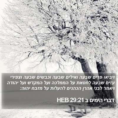 דברי הימים ב 29:21 HEB Bible Verse Image