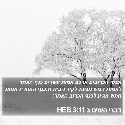 דברי הימים ב 3:11 HEB Bible Verse Image