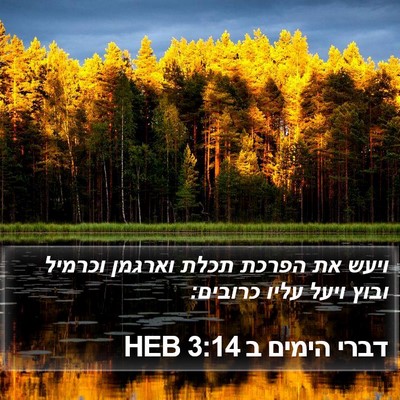 דברי הימים ב 3:14 HEB Bible Verse Image