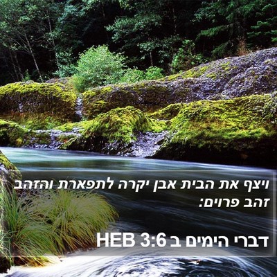 דברי הימים ב 3:6 HEB Bible Verse Image