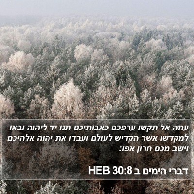 דברי הימים ב 30:8 HEB Bible Verse Image