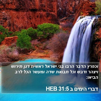 דברי הימים ב 31:5 HEB Bible Verse Image