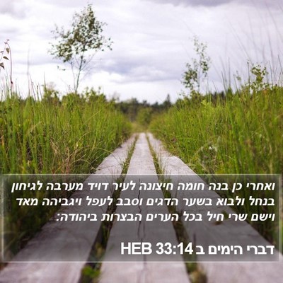 דברי הימים ב 33:14 HEB Bible Verse Image