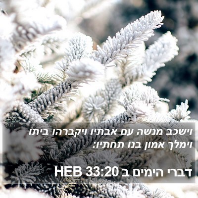 דברי הימים ב 33:20 HEB Bible Verse Image