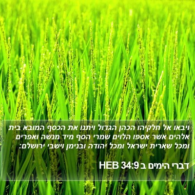 דברי הימים ב 34:9 HEB Bible Verse Image