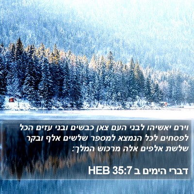 דברי הימים ב 35:7 HEB Bible Verse Image
