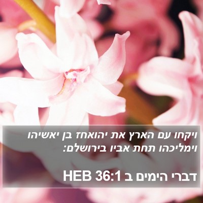 דברי הימים ב 36:1 HEB Bible Verse Image