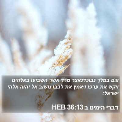 דברי הימים ב 36:13 HEB Bible Verse Image