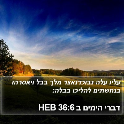 דברי הימים ב 36:6 HEB Bible Verse Image