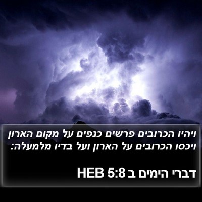 דברי הימים ב 5:8 HEB Bible Verse Image