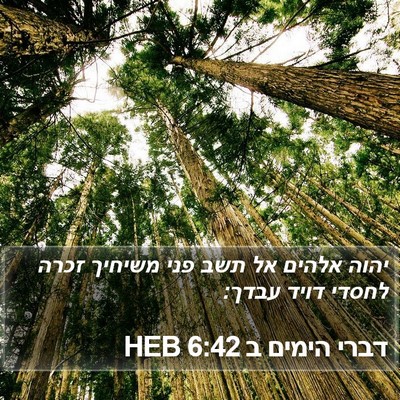 דברי הימים ב 6:42 HEB Bible Verse Image