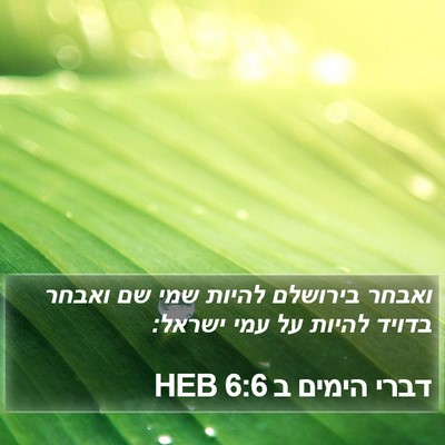 דברי הימים ב 6:6 HEB Bible Verse Image