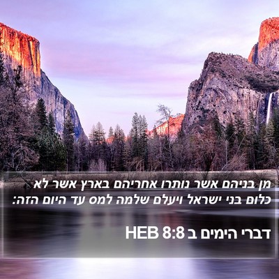 דברי הימים ב 8:8 HEB Bible Verse Image