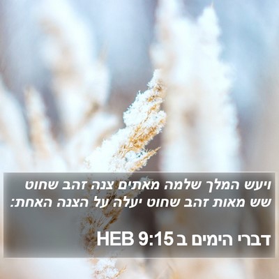 דברי הימים ב 9:15 HEB Bible Verse Image