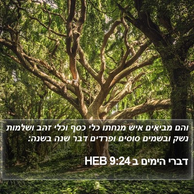 דברי הימים ב 9:24 HEB Bible Verse Image
