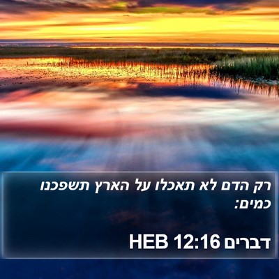 דברים 12:16 HEB Bible Verse Image