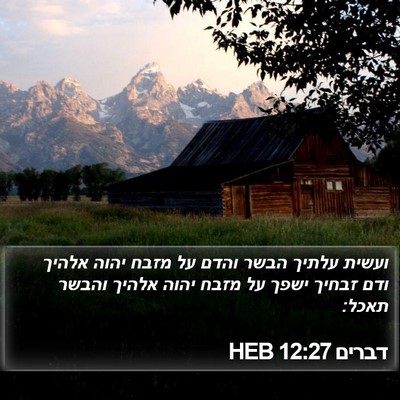 דברים 12:27 HEB Bible Verse Image