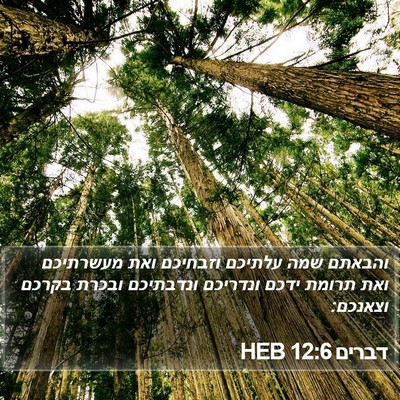 דברים 12:6 HEB Bible Verse Image