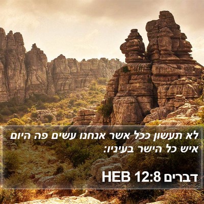 דברים 12:8 HEB Bible Verse Image
