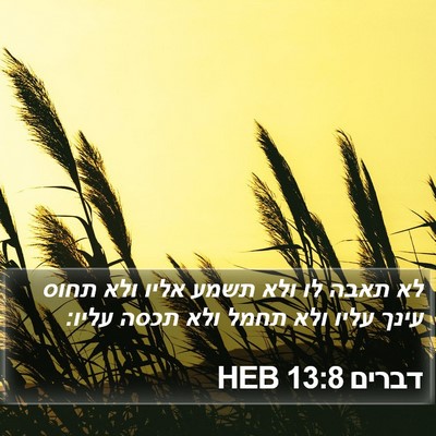 דברים 13:8 HEB Bible Verse Image