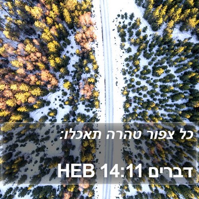 דברים 14:11 HEB Bible Verse Image