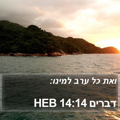 דברים 14:14 HEB Bible Verse Image