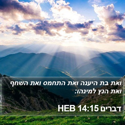 דברים 14:15 HEB Bible Verse Image
