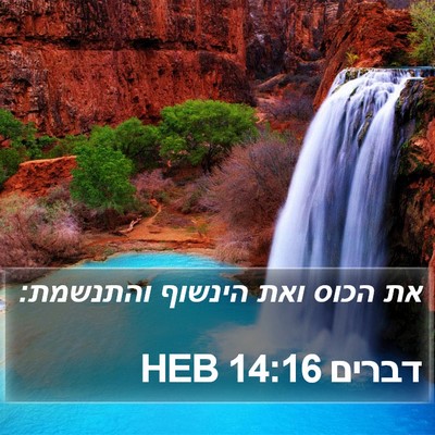 דברים 14:16 HEB Bible Verse Image