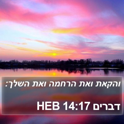 דברים 14:17 HEB Bible Verse Image