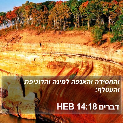 דברים 14:18 HEB Bible Verse Image