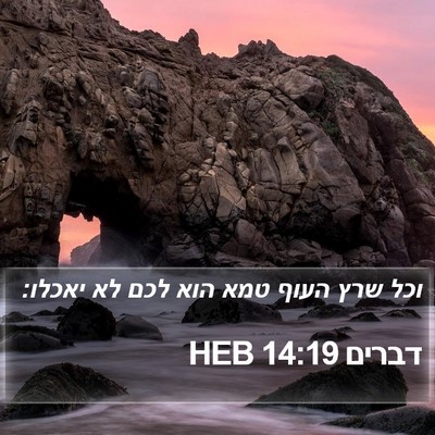דברים 14:19 HEB Bible Verse Image