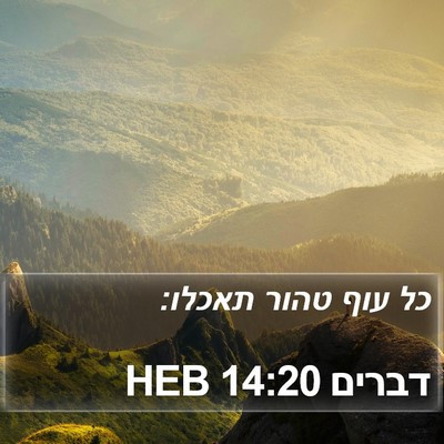 דברים 14:20 HEB Bible Verse Image
