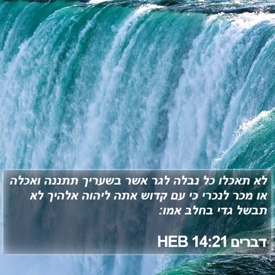 דברים 14:21 HEB Bible Verse Image