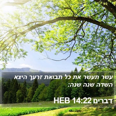דברים 14:22 HEB Bible Verse Image