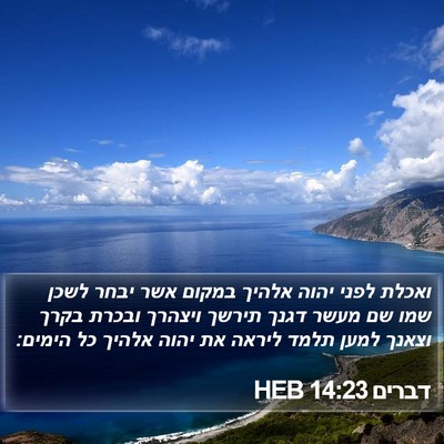 דברים 14:23 HEB Bible Verse Image