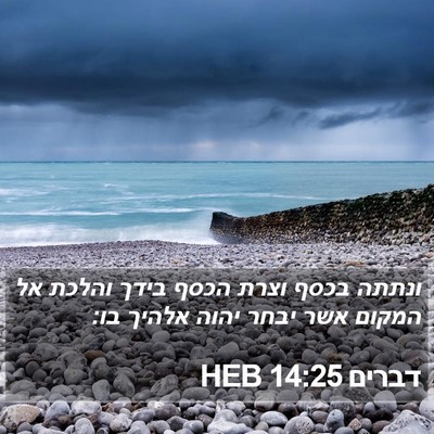 דברים 14:25 HEB Bible Verse Image