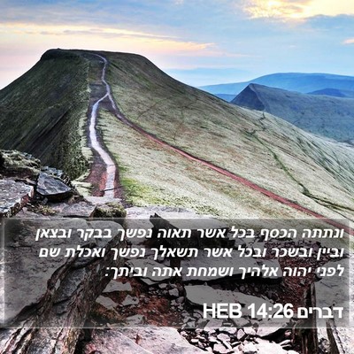 דברים 14:26 HEB Bible Verse Image