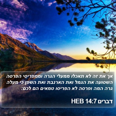 דברים 14:7 HEB Bible Verse Image