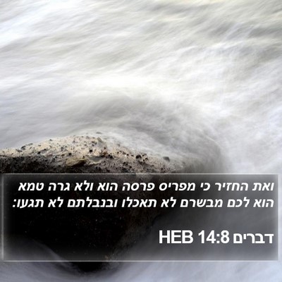 דברים 14:8 HEB Bible Verse Image