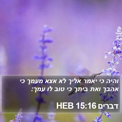 דברים 15:16 HEB Bible Verse Image