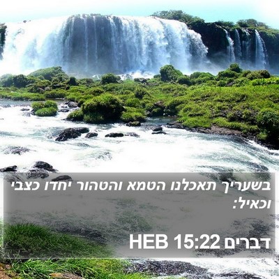 דברים 15:22 HEB Bible Verse Image