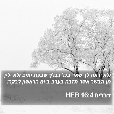 דברים 16:4 HEB Bible Verse Image