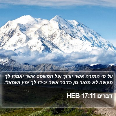 דברים 17:11 HEB Bible Verse Image