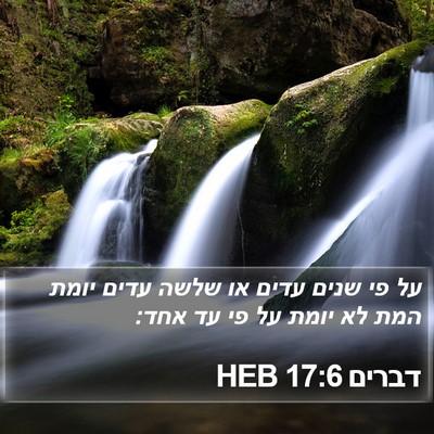 דברים 17:6 HEB Bible Verse Image