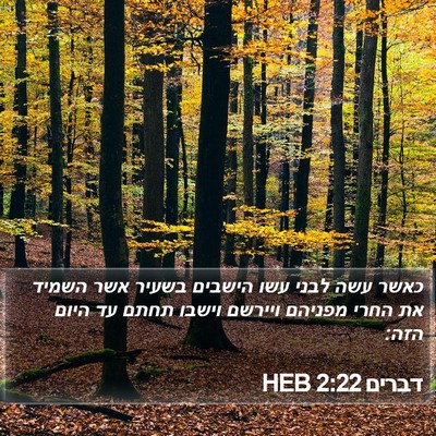 דברים 2:22 HEB Bible Verse Image